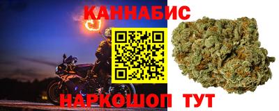 прущие грибы Будённовск