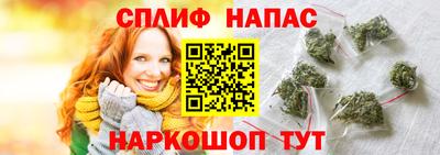 прущие грибы Будённовск