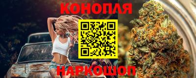 прущие грибы Будённовск