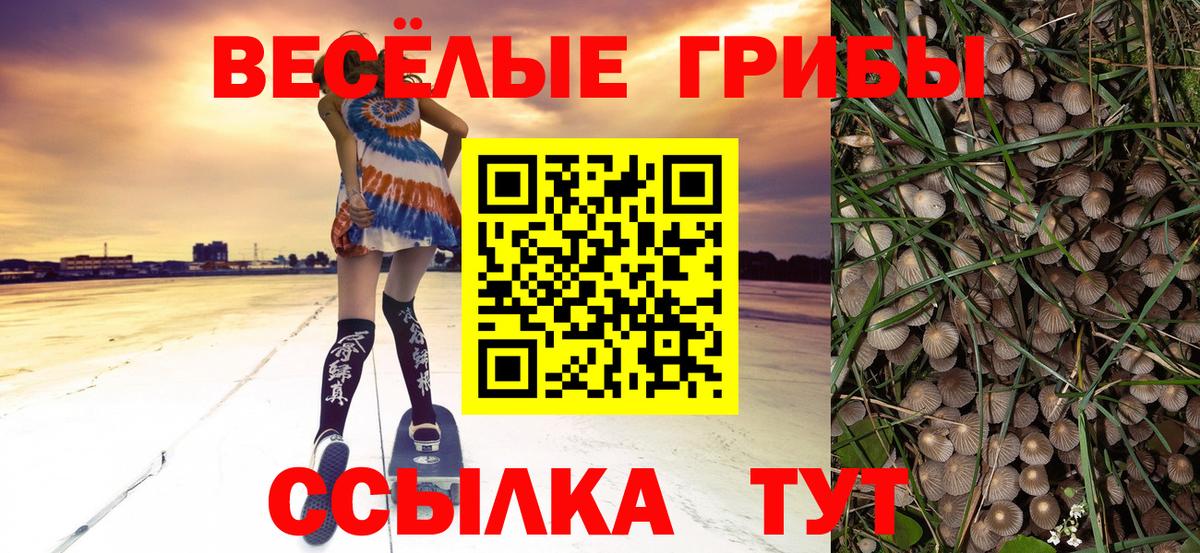 Северодвинск  Псилоцибиновые грибы Psilocybe  Вход с VPN 