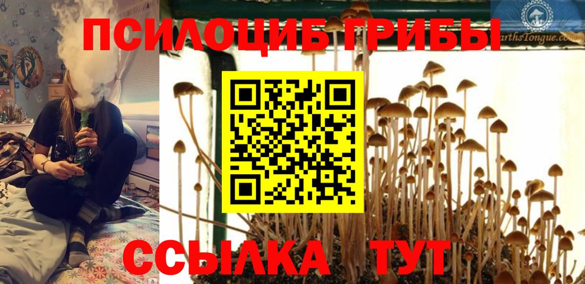 Галлюциногенные грибы MAGIC MUSHROOMS Северодвинск